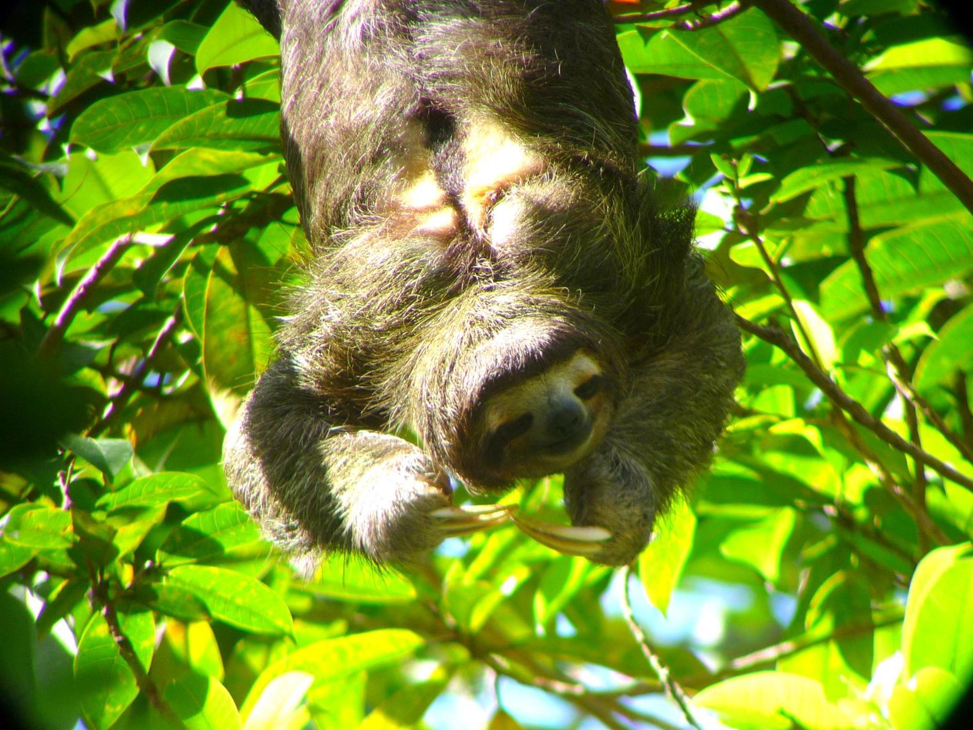 Gamboa Rainforest Reserve Exterior photo