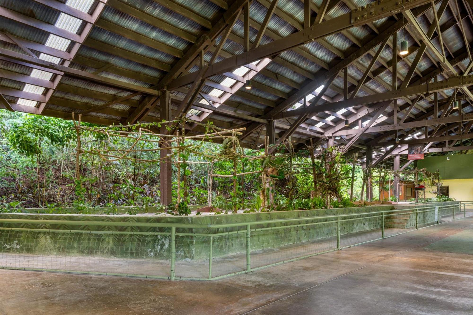 Gamboa Rainforest Reserve Exterior photo