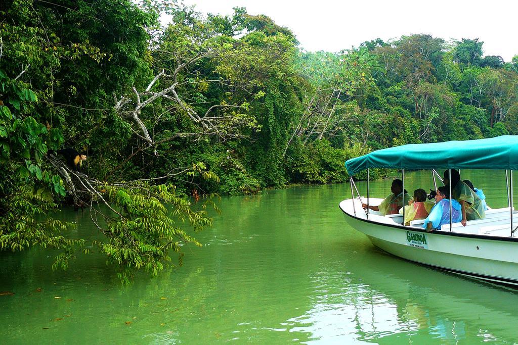 Gamboa Rainforest Reserve Exterior photo